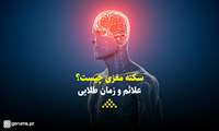 کلیپ / سکته مغزی چیست؟