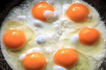 Eat-eggs-large-Banooyeshahr